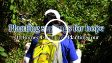 4th Borneo Island Tree-Planting Tour