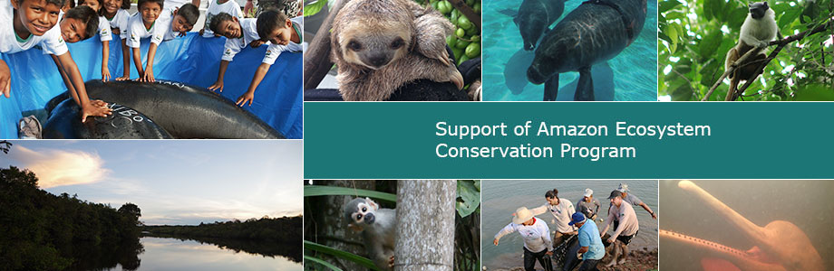 Support of Amazon Ecosystem Conservation Program