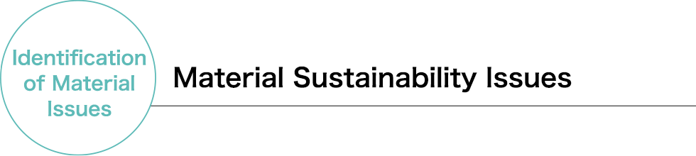 Material Sustainability Issues