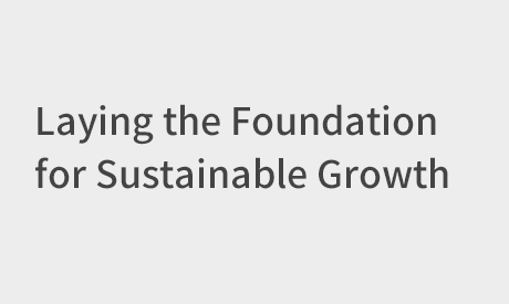 Laying the Foundation for Sustainable Growth