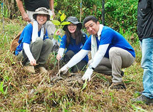 Tropical rainforest restoration and ecosystem conservation in Borneo