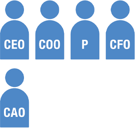 CEO,COO,CAO,CFO,P,CSO,CXO