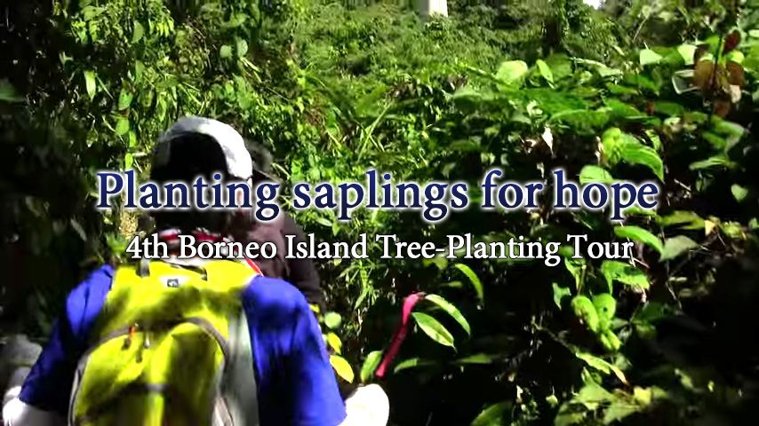4th Borneo Island Tree-Planting Tour