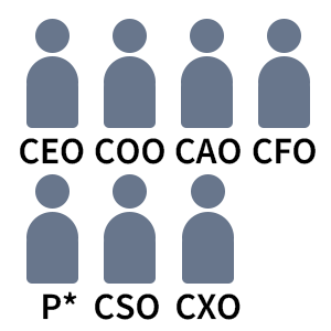 CEO,COO,CAO,CFO,P,CSO,CXO