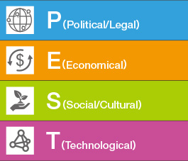 Macro Environmental PEST Analysis