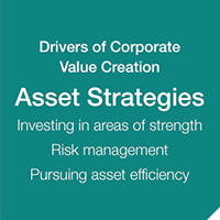 Asset Strategies