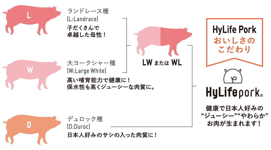 HyLife pork おいしさのこだわり