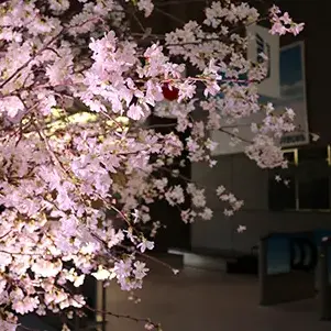 [写真]
