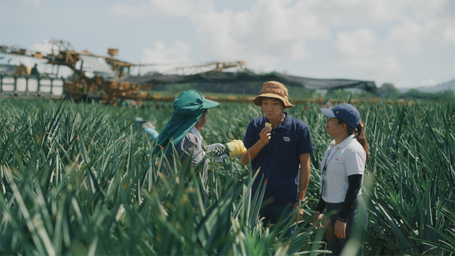 TVCM 『商人は水であれ　パイナップル畑の商人』