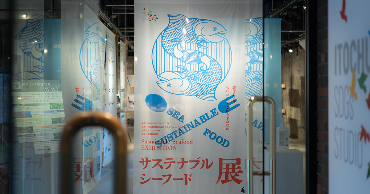 フジカ　スマーティ　定価約51万円　特別仕様最新モデル　正規店購入　サウナドーム フジカ スマーティ 定価約51万円 特別仕様最新モデル 正規店購入