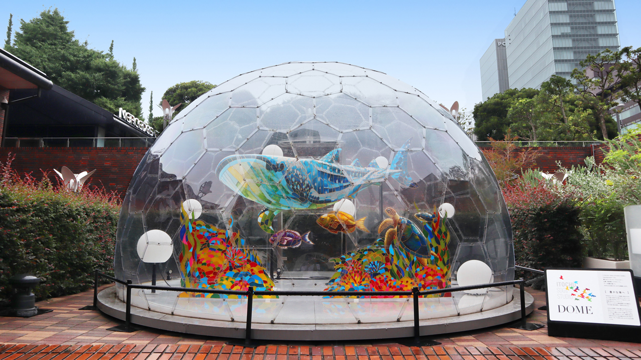 ビジネス・経済 DOZO DOMO KUNIYOSHI SAKAI TOKYO CULTUART by BEAMS（トーキョー カルチャート by ビームス