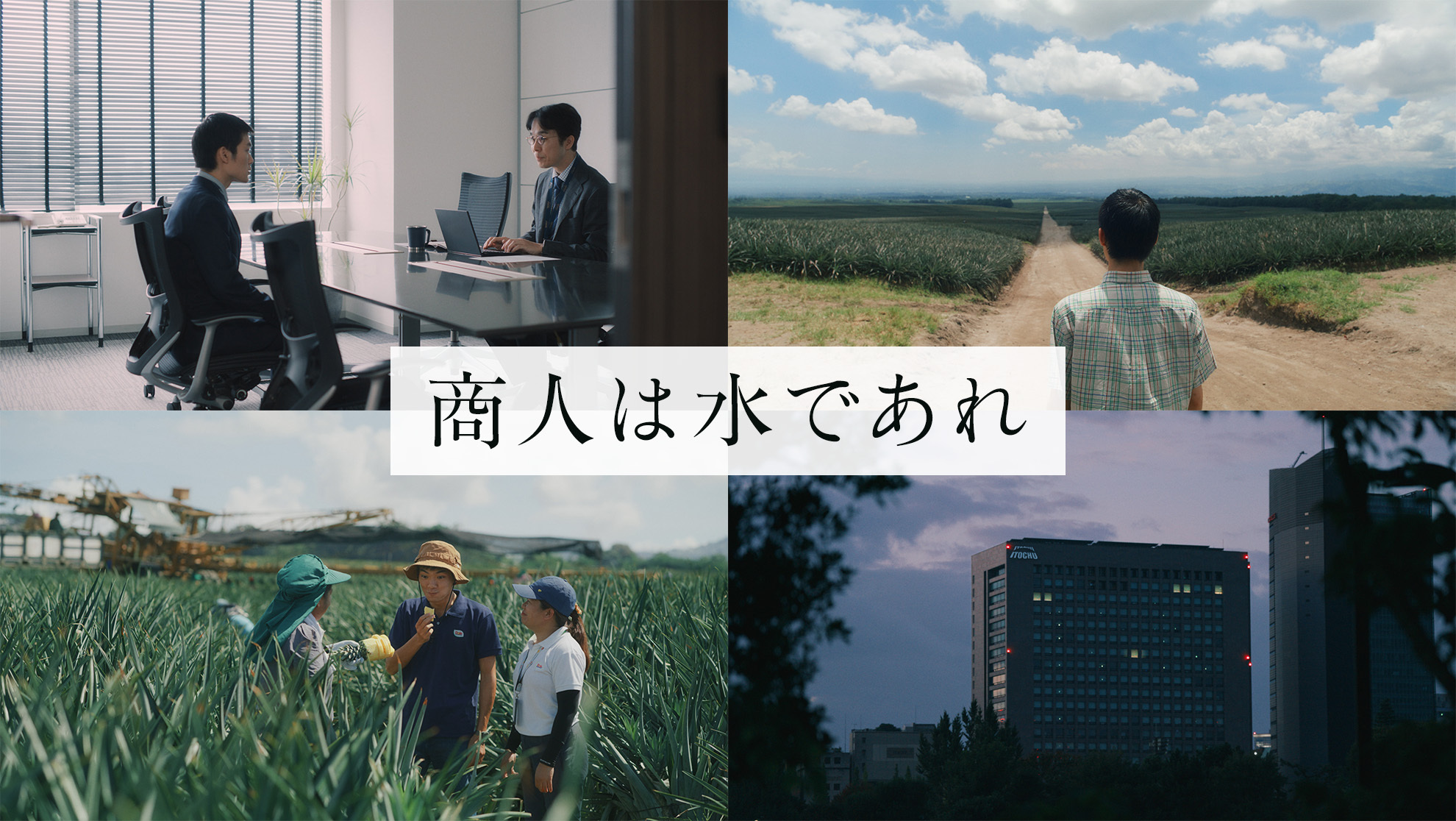 TVCM 『商人は水であれ　パイナップル畑の商人』篇