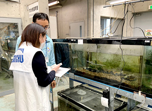 バナー：琵琶湖博物館との協働研究
