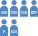 CEO,COO,CAO,CFO,P,CXO