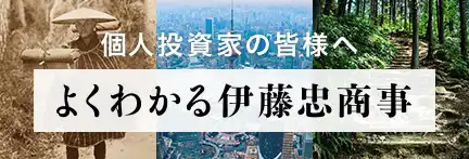 個人投資家の皆様へ