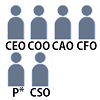 CEO,COO,CAO,CFO,P,CSO