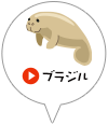 ブラジル