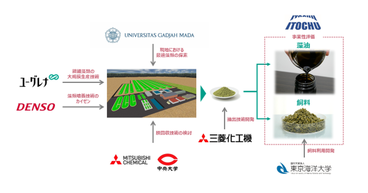 微細藻類ユーグレナ海外培養実証事業の開始について｜プレスリリース