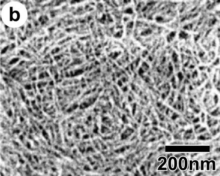 写真：b.CNF200ナノメートル